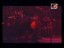 Shoots And - Lowlands