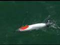 NOAA Fisheries Service's New Autonomous Underwater Vehicle