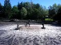 Surface aerators -Very old - Waste water treatament-SCM