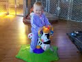 geli riding her new zebra