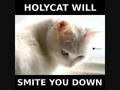 SeRiOuSlY FuNnY LOL CaTz!!!!! BeSt EvEr!!!!