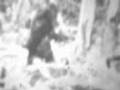Dr. Jane Goodall Speaks About Bigfoot-PGF Normal Speed