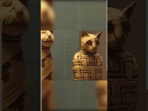 Why were Cats so important in Ancient Egypt?