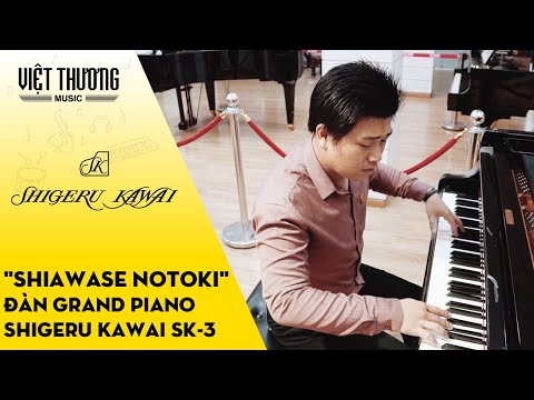 Shiawase Notoki Đàn Piano Shigeru Kawai SK-3
