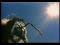 Dancing Honeybee Using Vector Calculus to Communicate