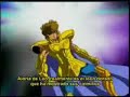 Tributo Aioria