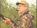 Dove & Pigeon Shooting in Argentina