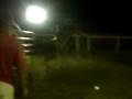 videos de Dorvalino vs Volta Seca