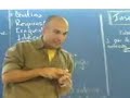 Prof. Fabio - Reprodução das Abelhas