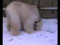 Afgano video