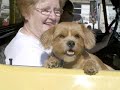 2007 Timken Grand Parade