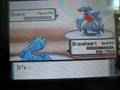 videos de Pokemon Wifi Battle #5:KingQuilfishy vs. Donuttttttttttttttt