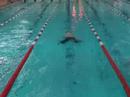Swimclub member Bazza swimming a sub 30 50m breaststroke.
