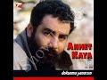 ahmet kaya şeyh bedrettinYağmur çiseliyor, yağmur çiseliyorSerezin esnaf çarşındaYağmur çiseliyor.Yağmur çiseliyor Korkarak yavaş sesleBir ihanet konuşması gibi Yağmur çiseliyorBeyaz ve çıplakMürtet ayaklarınınIslak ve karanlık toprağın üstünde koşması gibi.Yağmur çiseliyorSerezin esnaf çarsındaBir bakırcı dükkanın karşındaBedrettin' in bir ağaca asılıYağmur çiseliyorGecenin geç ve yıldızsız bir saatidirVe yağmurdan ıslananYapraksız bir dalda sallanan Şeyhimin çırılçıplak etidirYağmur çiseliyorSerez çarşısı dilsizSerez çarşısı körHavada konuşmamanın görmemenin Kahrolası hüznüVe Serez çarşısı kapatmış elleriyle yüzünüYağmur çiseliyor.