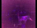 VILK on tour @ Lovebase 2007 - Dr Motte 3