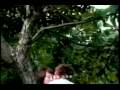 Jay Chou- Qing Tian 晴天 (with lyrics) MV