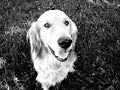 Photo Contest Entry!! Photo Contest Entry!!