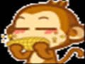 Corn Corn