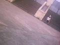 videos de nem parkour
