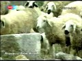Kozan Belediye Ba?kan? TRT\ Kozan Belediye Ba?kan? TRT\