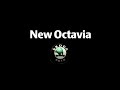 Video de Skoda Octavia 516