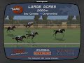 Gta San andreas - corrida de cavalo