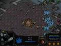 ZvZ Pimpest Play! (P1/5) Tot)Xiaozi( v Play.Satanik