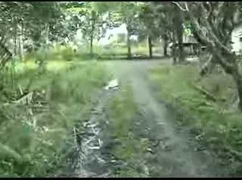 Guadalcanal Solomon's islands (SI-9)
