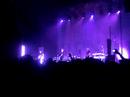 interpol  live in miami