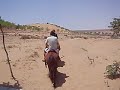 Dune horse riding
