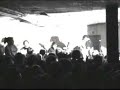 Finch - Untitled Finch - Untitled