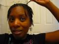 Loc Journey (#2 - Budding)