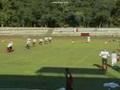 Lajos Vörös Highlight Tape (2006 - 1 season)