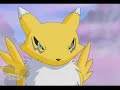 Renamon AMV
