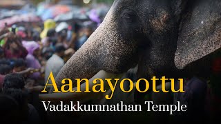 Click to view the video of Feast for Elephants: Aanayoottu at Vadakkumnathan Temple