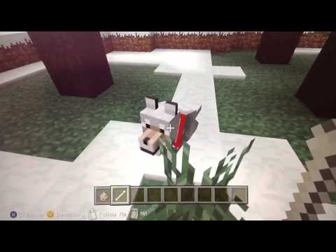 how to tame a wolf in minecraft xbox