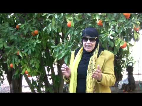 يافا48: الحلقة الثانية من سلسلة ابتسامات وهمسات مع المربية ناهدة سكيس
