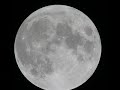 moon river played by two guitars, st and lute323