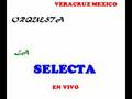 selecta de veracruz