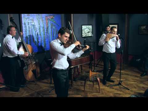 Sarba Batraneasca - Flavius Tinica ( Pan Flute )