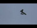 Hang Gliding - Winki to Lorne 21/9/09