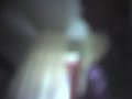 FTIR TouchTest