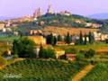 Tuscany San Gimignano Volterra Farmhouse Apartment Italy LET Vacation Vacations rental accomodations http://www.lacollinatuscany.com