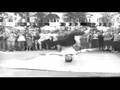 Stylowa Spółka Społem video- Kangur