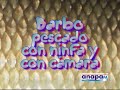 Pesca de un barbo con ninfa y con cámara