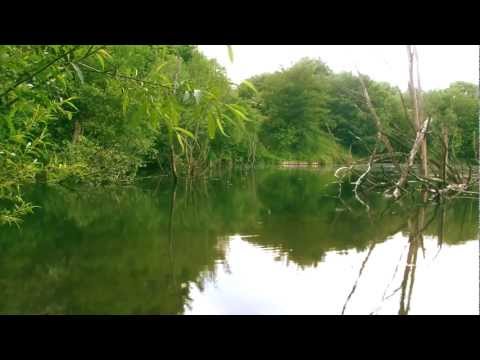 mindfulness and stress reduction