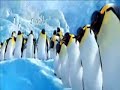 happy feet ~ mambo!