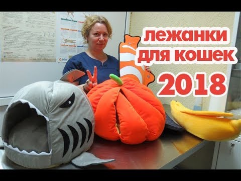 Какую лежанку для кошки выбрать в 2018 году? Плюс розыгрыш