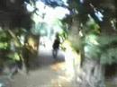 AMAS no Parque Farroupilha, a Reden��o!