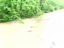 Hinkson Creek Flood 5-10-07 (3)